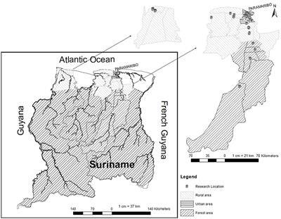 Local knowledge matters: understanding the decision-making processes of communities under climate change in Suriname